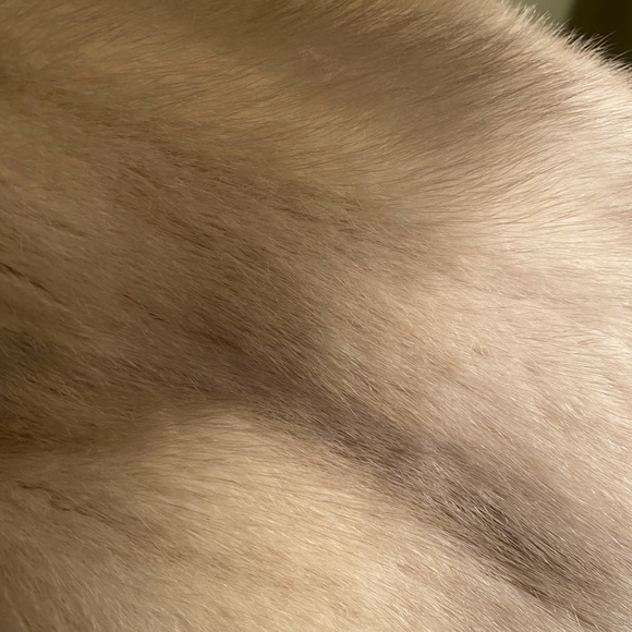 MINK: Tourmaline Authentic Silver Mink, Coat Full Length - Picture 6 of 13